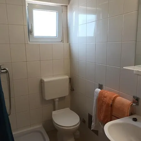 Apartment Branka Ika