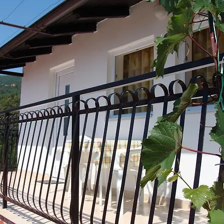 Apartment Branka Ika