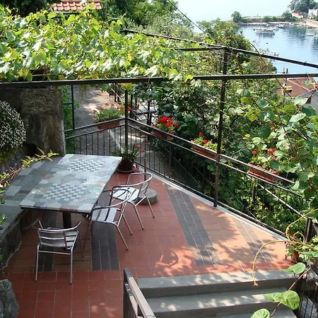 Apartment Branka *