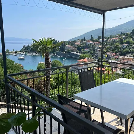 Apartment Branka